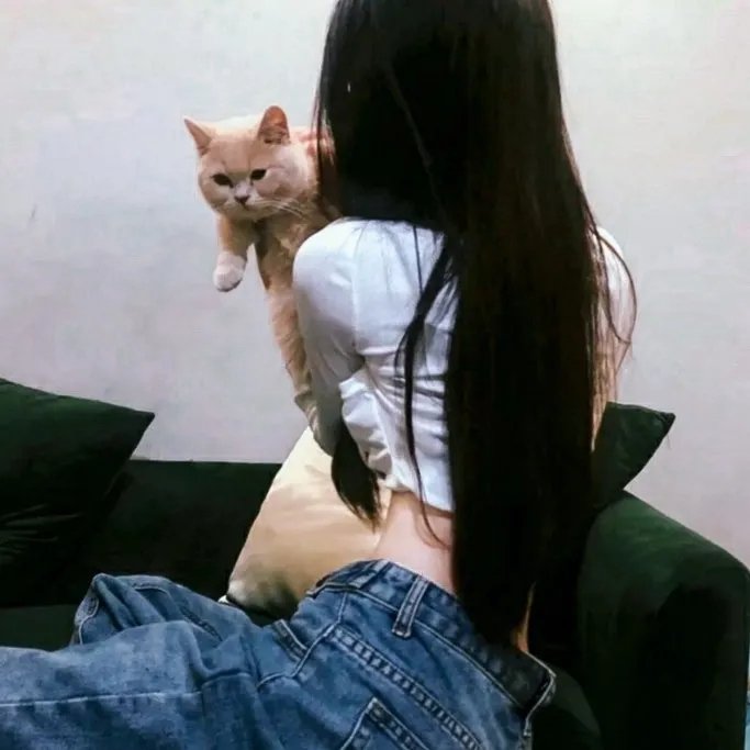 无证之据
